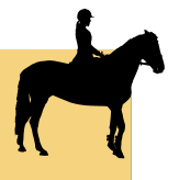 2-hour guided horseback riding adventure